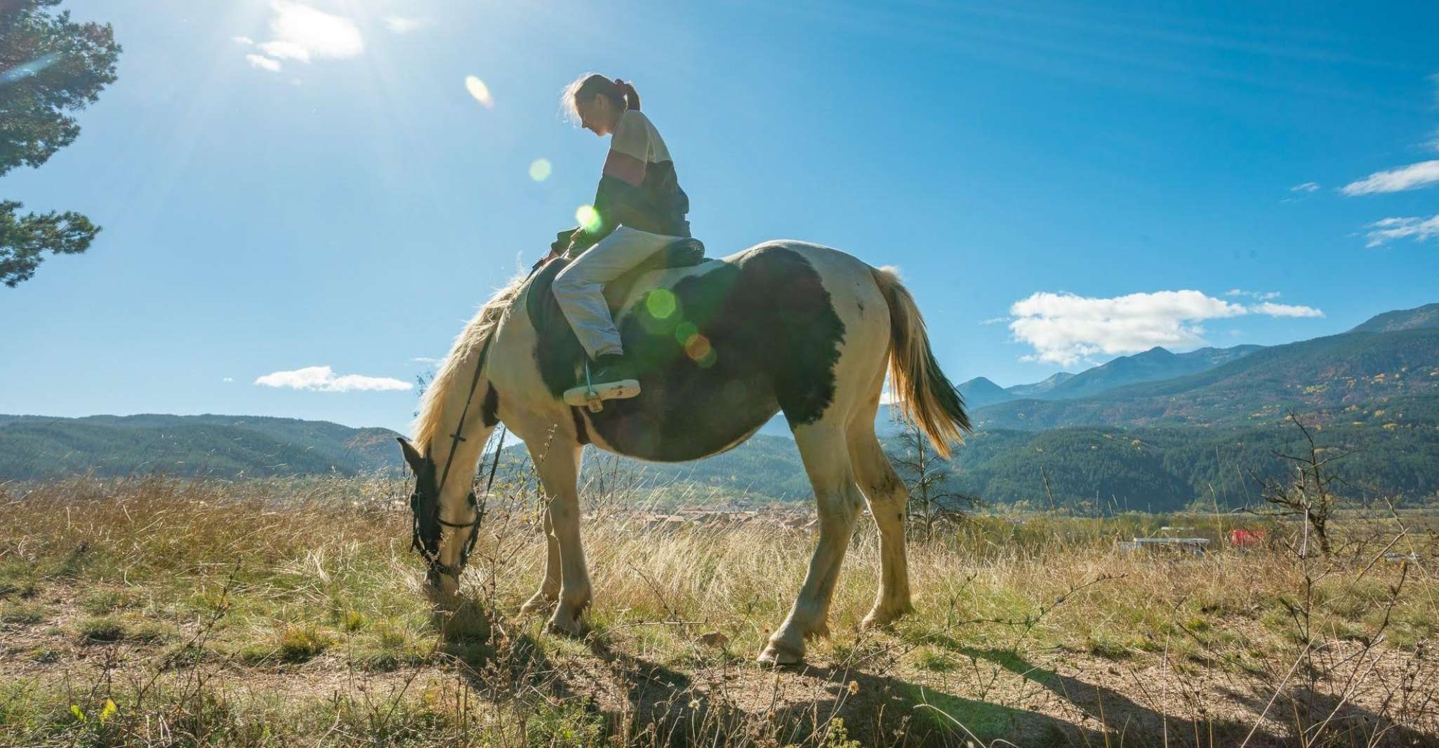 From Bansko, Horse Riding Experience - Housity