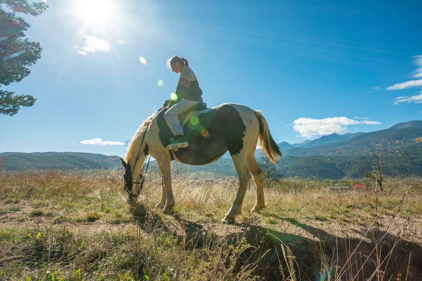 From Bansko: Horse Riding Experience