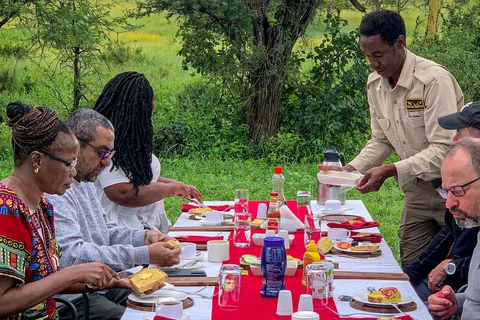 Serengeti Balloon Ride and Luxury Bush Breakfast