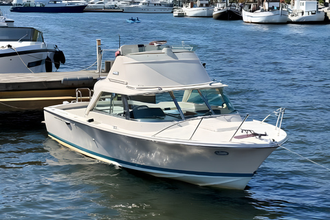 Private Luxury Boat Tour on a Day Cruiser – Nice/Monaco Cruise - 2h30