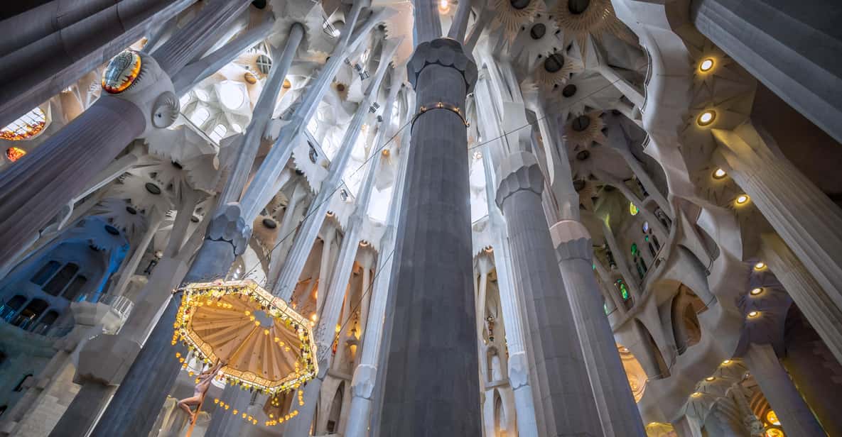 Afbeelding 9 van Barcelona: Sagrada Familia Fast Track Rondleiding