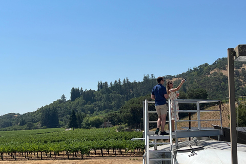 Sonoma Valley: Guided Winery Tour with Picnic Lunch