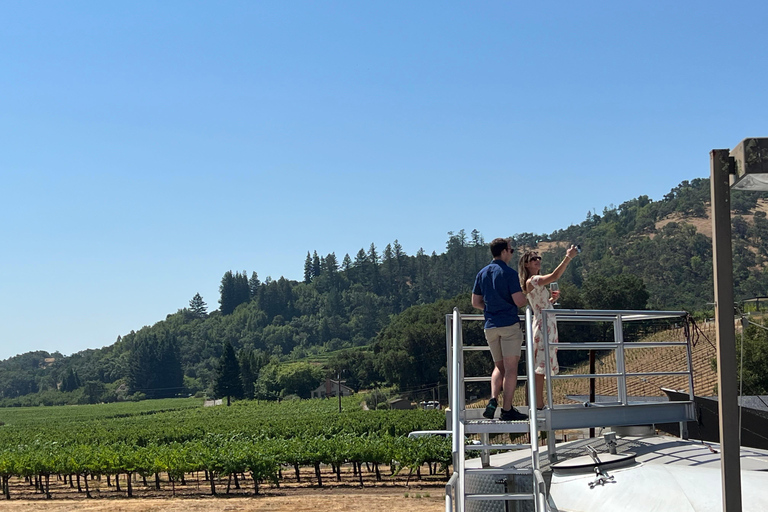 Sonoma Valley: Guided Winery Tour with Picnic Lunch