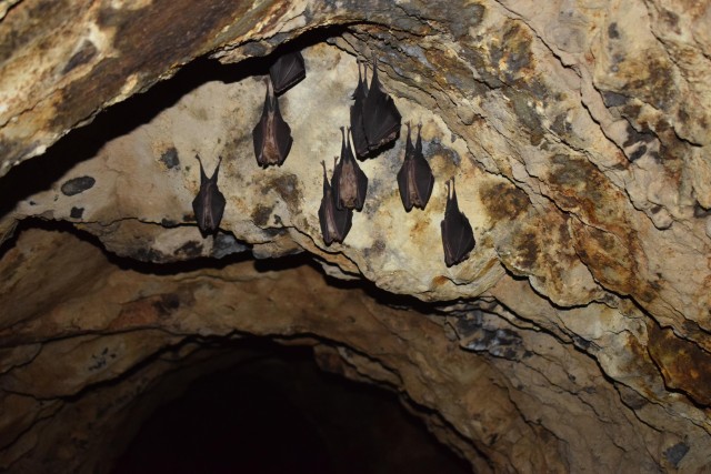 Visit Speleology in the Arouca Geopark´s Tungsten Mines in Arouca