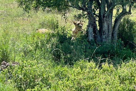 Nairobi: Lake Nakuru National Park and Lake Naivasha Tour