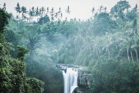 Cascata di Tegenungan: Il paradiso naturale nascosto di Bali