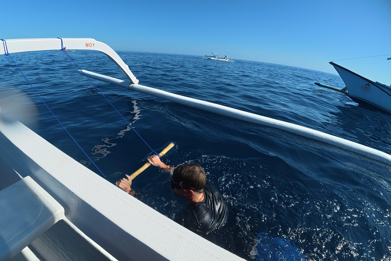 Lovina: Dolphin Observe & Snorkeling with Optional GoPro Sharing Dolphin Tour With GoPro, Transfer Hotel North Area
