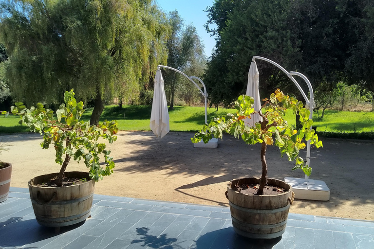 Wineries Tour in Casablanca Valley from Valparaiso Shared tour