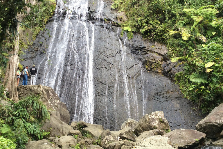 San Juan: El Yunque Rainforest Guided Tour