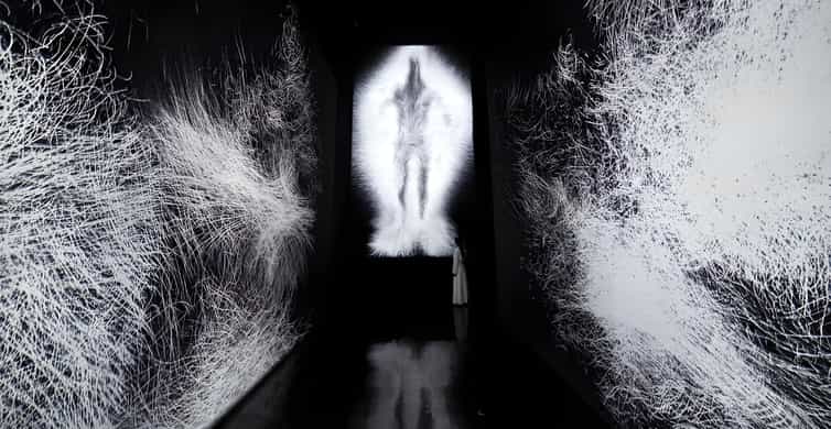 Singapore: ArtScience Museum Entry Ticket photo 14