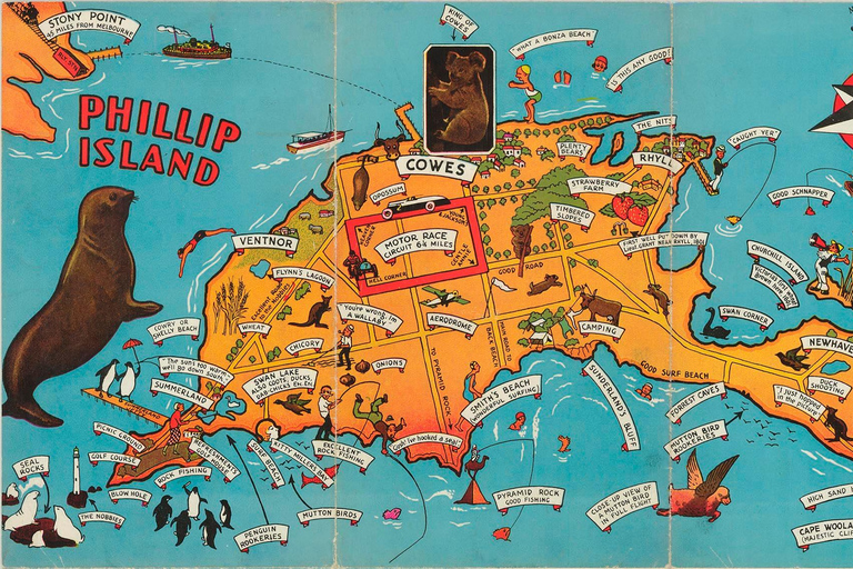 Luxury Phillip Island Tour for Families & Explorers 10 Max