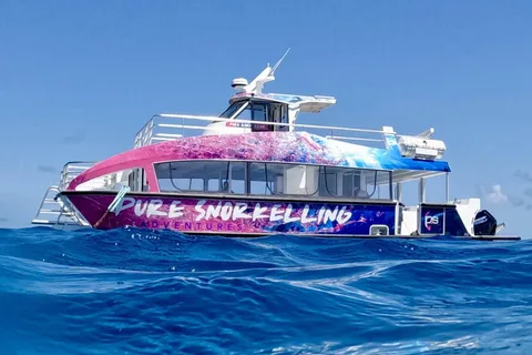 Cairns: Halbtägiges Schnorchelabenteuer am Great Barrier Reef