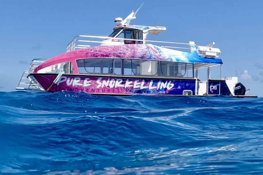 Cairns: Halbtägiges Schnorchelabenteuer am Great Barrier Reef. Foto: GetYourGuide