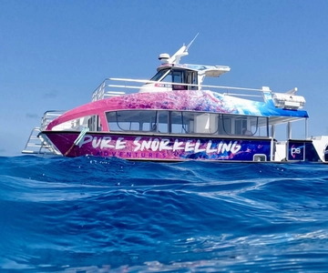 Cairns: Great Barrier Reef Half-Day Snorkeling Adventure
