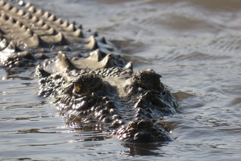 Matara: Wild Crocodile River Expedition