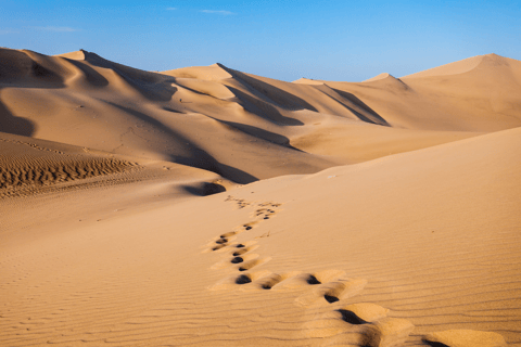 Lima: Ballestas Eilanden, Nazca Lijnen en Huacachina Tour