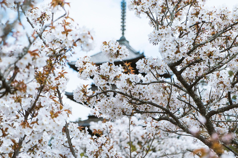 Kyoto Historic Customizable Private Tour With Vehicle