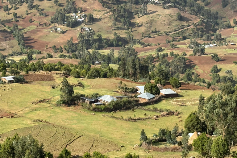 Blue Nile Gorge Wildlife & Cultural Day Trip