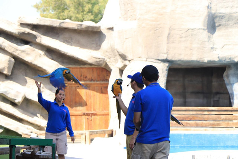 Abu Dhabi: Zoológico do Emirates Park