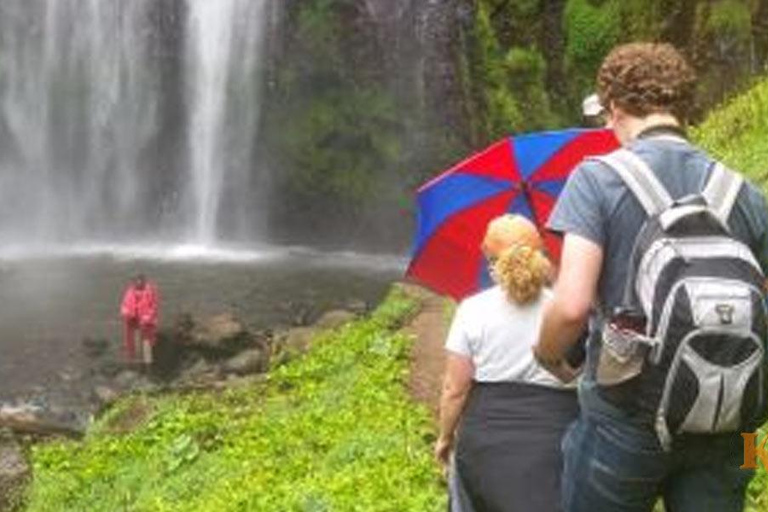 Lake Manyara: The best of Day Trip from Arusha