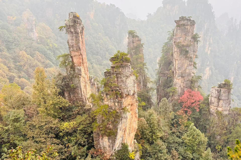 From Chongqing: 2-Day Zhangjiajie Tour with Train Ticket