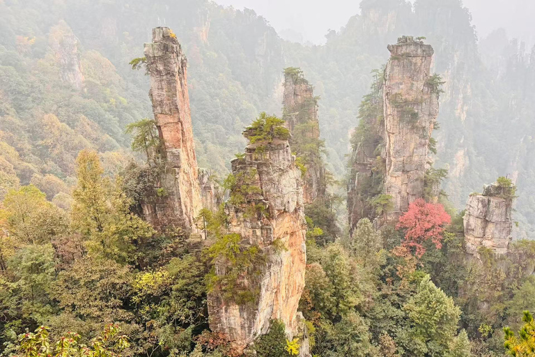 From Chongqing: 2-Day Zhangjiajie Tour with Train Ticket
