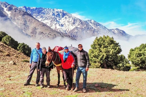 From Marrakech: 2-Day Atlas Mountains Trek with Berber Stay