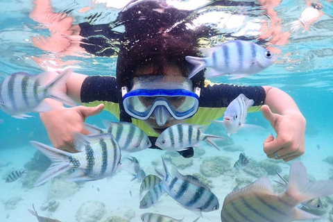 Pattaya: Coral Island - Speed boat - Pranzo - Attività a sceltaPattaya: parasailing + banana boat + snorkeling + pranzo