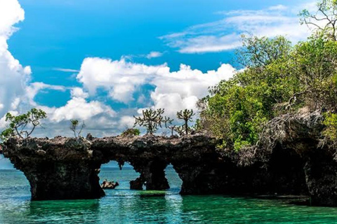 From Nungwi/Kendwa: Safari Blue Trip with Lunch & Sandbank