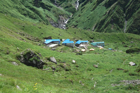 Pokhara : Trek de 3 jours à Astam, Dhampus et Australian CampPokhara : 3 jours de service