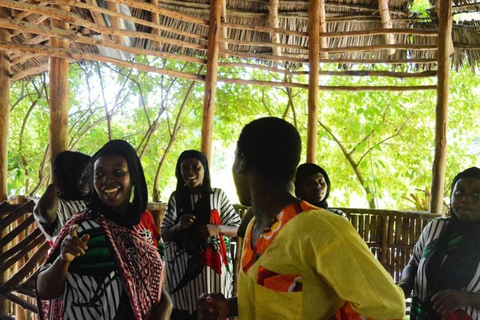 Zanzibar: Blå lagunen, sjöstjärnor och Jozani-skogenTransfer till hotell var som helst på Zanzibar