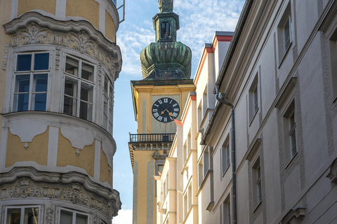 Linz - Passeio a pé histórico particular