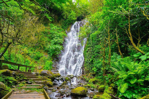 Batumi: Traditional Dinner, Wine & Dance with Waterfalls