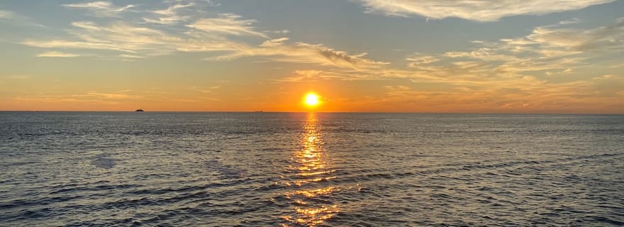 Cape May : Croisière d'observation des dauphins au coucher du soleil avec repas