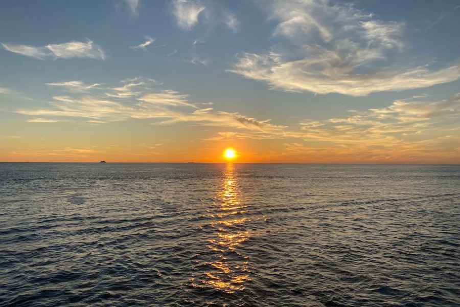 Cape May: Delfinbeobachtungstour bei Sonnenuntergang mit Essen. Foto: GetYourGuide