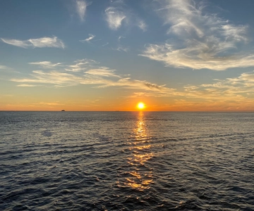Cape May: Delfinbeobachtungstour bei Sonnenuntergang mit Essen