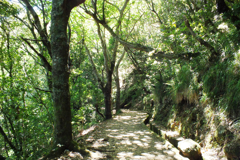 Madère : ARIEIRO PEAK, SANTANA, PONTA SÃO LOURENÇO JEEP TOURPrivé : Pic d&#039;Arieiro, Balcões, Santana &amp; Pta São Lourenço