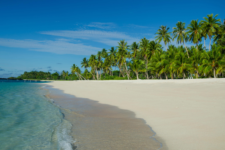 Martinique: Horseback Ride to Grand Macabou & Ocean Views