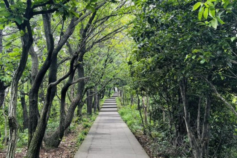 Shanghai: Huishan Ancient Town & Tai Lake Private Day Trip
