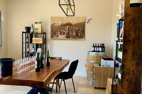 Saint-Émilion: tour dei vigneti di Bordeaux e degustazione di viniSaint-Émilion: tour dei vigneti di Bordeaux e degustazione in inglese