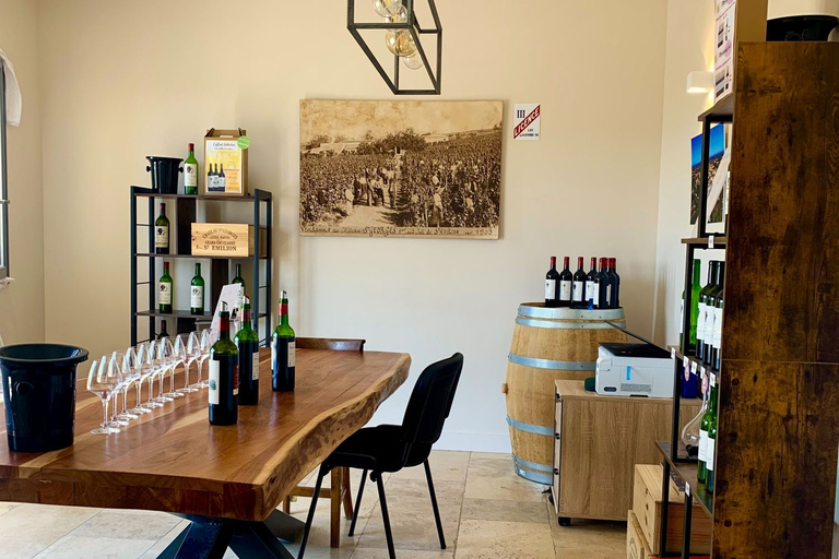 Saint-Émilion: tour dei vigneti di Bordeaux e degustazione di viniSaint-Émilion: tour dei vigneti di Bordeaux e degustazione in inglese