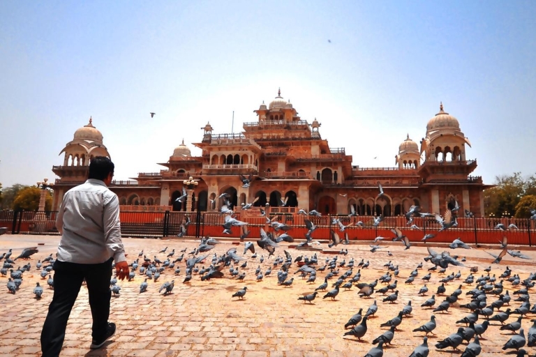 Jaipur: Tour fotográfico privado en Instagram por los mejores lugares para fotografiarTour fotográfico de Instagram por Jaipur en Tuk-Tuk con un guía