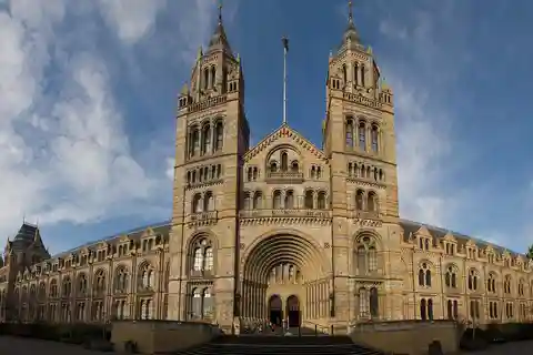 Londres: tour guiado pelo Museu de História Natural
