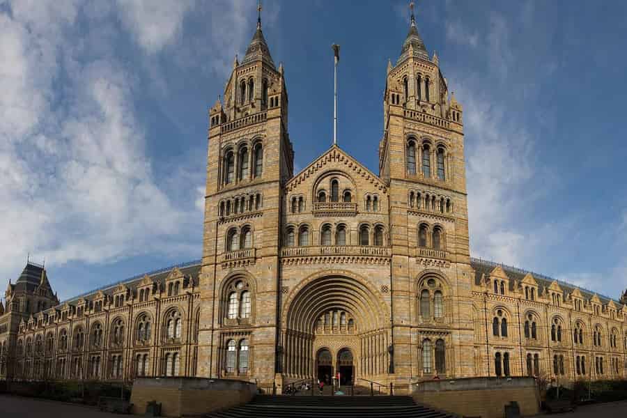 London: Führung durchs Naturkundemuseum mit Vorzugsleinlass. Foto: GetYourGuide