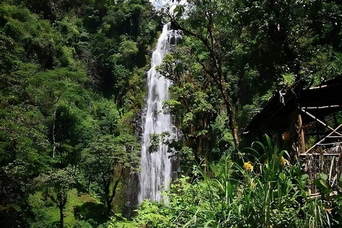 Excursion d&#039;une journée à la cascade de Ndoro avec bâton de randonnée