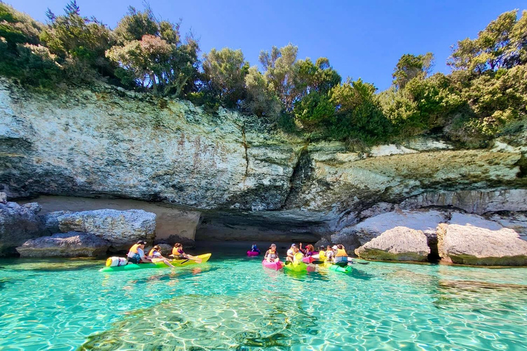 Bonifacio: Guided tour of the caves and cliffs with a swim