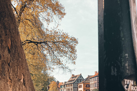 ستراسبورغ: جولة تذوق الطعام والمشي في المدينة القديمةجولة تذوق الطعام في ستراسبورغ