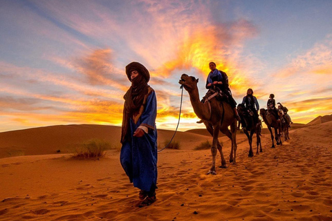 Safari nel deserto in transito privato con giro in cammello e mare internoSafari nel deserto condiviso