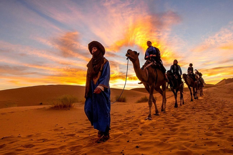 Teilen: Wüstensafari mit Dune Bashing und Kamelritt