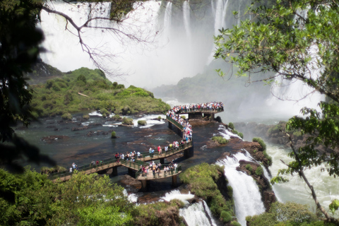 Iguassu watervallen: Braziliaanse kant tijdens een privétour